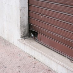 Bomba ad un caseificio di via Barletta