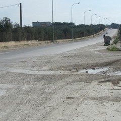 Buche stradali in via Duchessa d'Andria