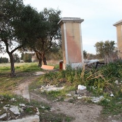 Cucce per cani in via Duchessa D'Andria