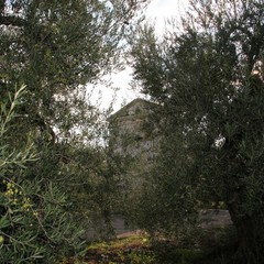 Epitaffio della Disfida di Barletta