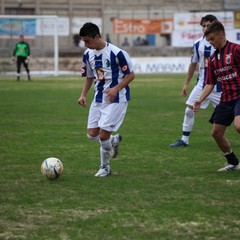 Fortis Trani - Casertana