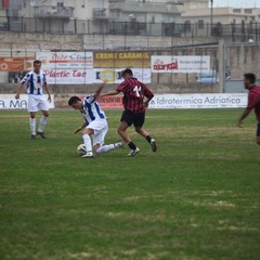 Fortis Trani - Casertana