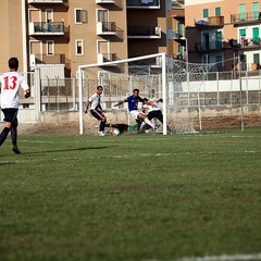 Fortis Trani - Francavilla 0-1