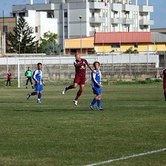 Fortis Trani - Grottaglie