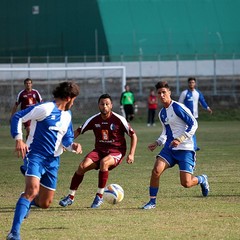 Fortis Trani - Grottaglie