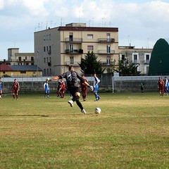 Fortis Trani - Grottaglie