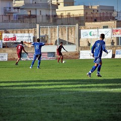 Fortis Trani - Irsinese 1-1