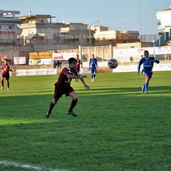 Fortis Trani - Irsinese 1-1