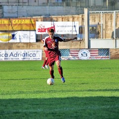 Fortis Trani - Irsinese 1-1