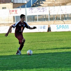 Fortis Trani - Irsinese 1-1