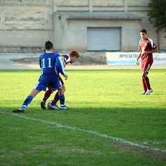 Fortis Trani - Irsinese 1-1