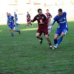 Fortis Trani - Irsinese 1-1