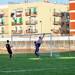 Fortis Trani - Irsinese 1-1