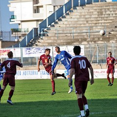 Fortis Trani - Irsinese 1-1