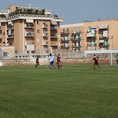 Fortis Trani – Brindisi 0-3