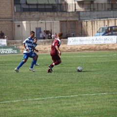 Fortis Trani – Brindisi 0-3