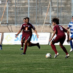 Fortis Trani – Brindisi 0-3