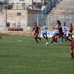 Fortis Trani – Brindisi 0-3