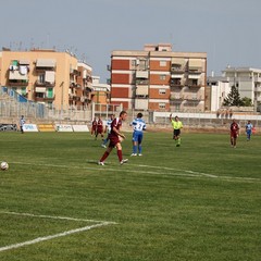 Fortis Trani – Brindisi 0-3