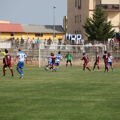 Fortis Trani – Brindisi 0-3