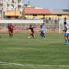 Fortis Trani – Brindisi 0-3