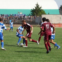 Fortis Trani – Brindisi 0-3