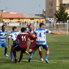 Fortis Trani – Brindisi 0-3