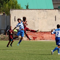 Fortis Trani – Brindisi 0-3