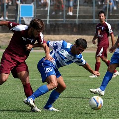 Fortis Trani – Brindisi 0-3