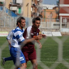 Fortis Trani – Brindisi 0-3