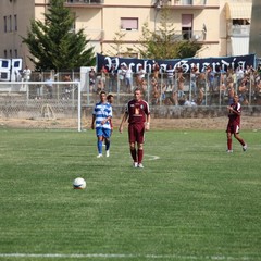 Fortis Trani – Brindisi 0-3
