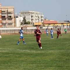 Fortis Trani – Brindisi 0-3
