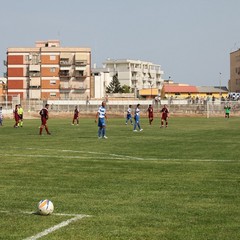 Fortis Trani – Brindisi 0-3