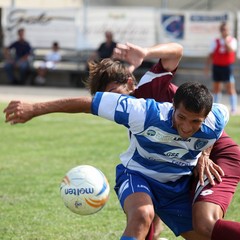 Fortis Trani – Brindisi 0-3