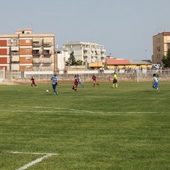 Fortis Trani – Brindisi 0-3