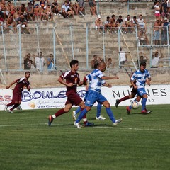 Fortis Trani – Brindisi 0-3