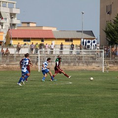 Fortis Trani – Brindisi 0-3