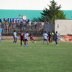 Fortis Trani – Brindisi 0-3