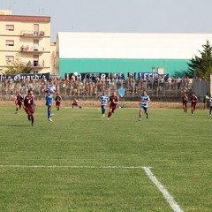 Fortis Trani – Brindisi 0-3