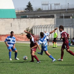 Fortis Trani – Brindisi 0-3