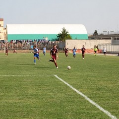 Fortis Trani – Brindisi 0-3