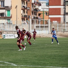 Fortis Trani – Brindisi 0-3