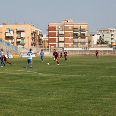 Fortis Trani – Brindisi 0-3