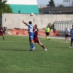 Fortis Trani – Brindisi 0-3