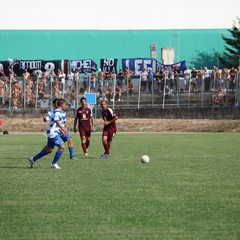 Fortis Trani – Brindisi 0-3