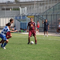 Fortis Trani – Brindisi 0-3