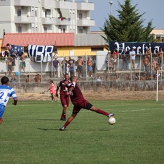 Fortis Trani – Brindisi 0-3