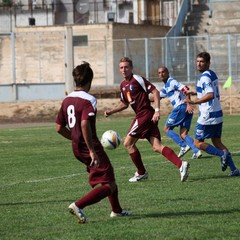 Fortis Trani – Brindisi 0-3