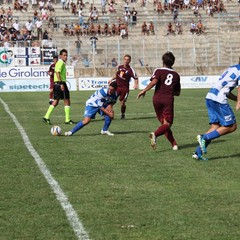 Fortis Trani – Brindisi 0-3