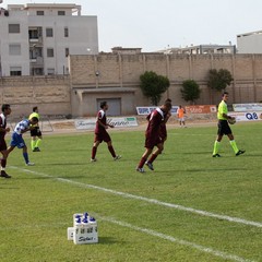 Fortis Trani – Brindisi 0-3